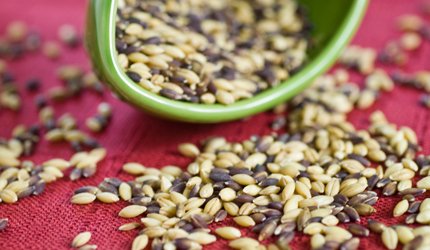 recipe_barley